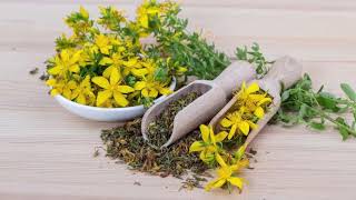 St John’s Wort Spiritual Benefits video [upl. by Acirderf]