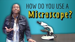 How do you use a Light Microscope A stepbystep guide [upl. by Harty518]