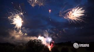 Wedding fireworks with VIP start [upl. by Tsiuqram366]