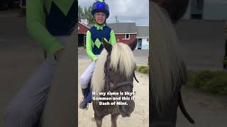 Meet the Shetland Pony Steeplechase jockeys and their speedy ponies 🏇 [upl. by Seale]