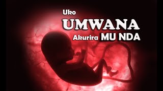 UKO UMWANA AKURIRA MU NDA Umunsi ku munsi Video yuruhinja rutaravukaUMWANA MU NDA [upl. by Odrawde]