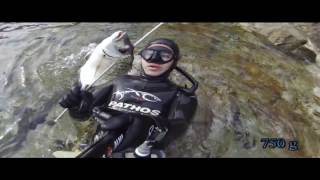 Spearfishing  Shallowest white sea bream catch ever [upl. by Tod]