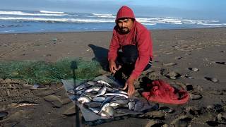 PESCA con Red TRASMALLO en Orilla del MAR Usando la Técnica de Arco [upl. by Owades]