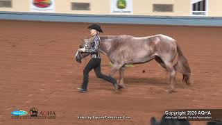 2020 AQHA Showmanship [upl. by Alik]