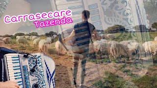 CARRASECARE Tazenda  Cover fisarmonica Antonio Tanca Sa die de sa Sardigna [upl. by Dougal991]