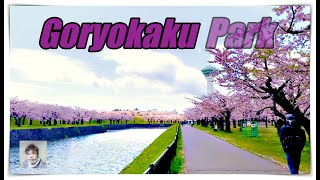 Goryokaku Park Hakodate Hokkaido 4k video [upl. by Anehsuc663]