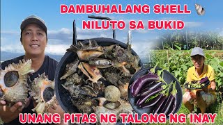 Dambuhalang Shell 🐚 Niluto sa Bukid TanghalianFinally Unang pitas ng Talong ng inay sa Garden [upl. by Drais646]