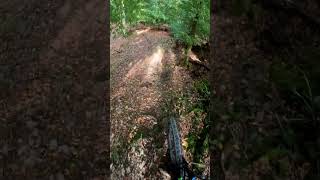 Boppardmtb downhill bikelife automobile mountainbike mtblife enduro jump [upl. by Marlo424]