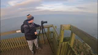 THE JURASSIC COASTLINE AT RSPB BEMPTON CLIFFS [upl. by Nolita]