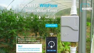 WittFlow smart water timer with intelligent irrigation system [upl. by Lacy]