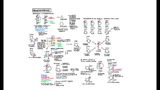 Anomería y mutarrotación [upl. by Bainbrudge]