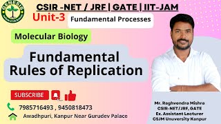 Fundamental Rules of Replication  DNA Helicase SSB Proteins Primase  Molecular Biology  L3 [upl. by Euqinu]