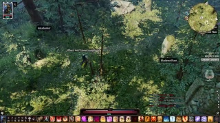 Divinity Original Sin 2 Definitive Edition on SoloSummonerTactician Part 7 [upl. by Paco]