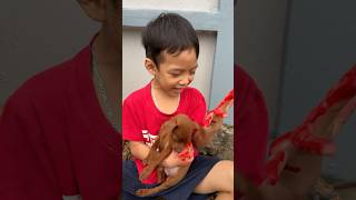 The baby cried and begged everyone to save the puppy that had an accident pet dog lovedog [upl. by Htebazil]