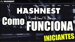 HASHNEST  Como funciona [upl. by Petulia]