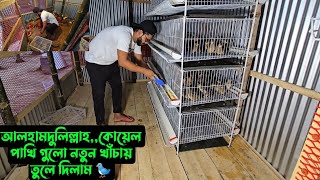 আলহামদুলিল্লাহকোয়েল পাখি গুলো নতুন খাঁচায় তুলে দিলাম 🐦 [upl. by Akamahs]