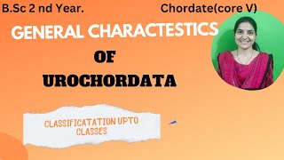 General Characteristics of urochordate bsc 2nd yearclassification of Urochordata3rdsemexam [upl. by Idissak]