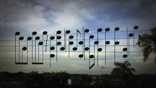 Amazing Music by the Birds on a Wire [upl. by Halik]