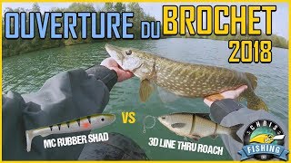 OUVERTURE du BROCHET 2018  Mc Rubber shad Vs 3d Line Thru Roach [upl. by Anale]