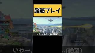 ミェンミェンの使い方 スマブラsp [upl. by Barcot548]