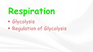 RespirationType of RespirationGlycolysisBSc 3rd YearLife Science Classes [upl. by Docila]