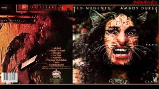 Ted Nugent amp The Amboy Dukes  Tooth Fang amp Claw LP 1973 [upl. by Kadner]