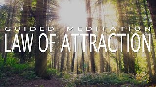 Law of Attraction Meditation for Deep Positivity amp Abundance Guided Meditation 20 Minutes [upl. by Smail8]