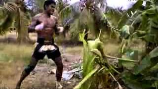 BUAKAW BANCHAMEK kick [upl. by Eussoj]