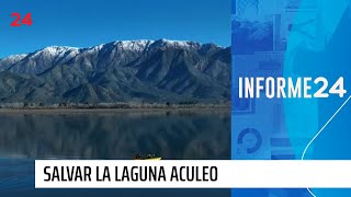 Informe 24 salvar la laguna Aculeo un desafío en comunidad  24 Horas TVN Chile [upl. by Assila]