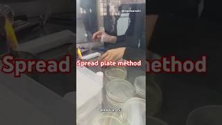 Spread plate method  peptone water  Antibiotic sensitivity test mltmbbsbiotechnologylab [upl. by Yahsal]