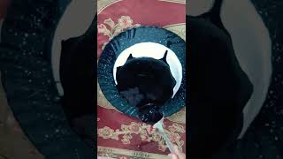 Cake design cake cakedecorating chocolatecake trending viralvideo youtubeshorts shorts [upl. by Ataymik440]