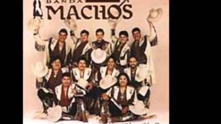 MI CHICA IDEAL BANDA MACHOS [upl. by Aerdnas]