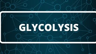 Biochemistry  Glycolysis part 1 كيمياء حيوية كيفية تحلل السكر [upl. by Cloris872]