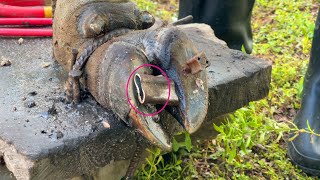 Ep57  Cleaning TV  Experts use stone to treat cows foot  THE CLEANING and CUTTUNG [upl. by Arratal]