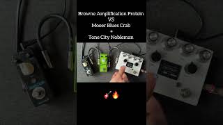 Browne Amplification Protein vs Mooer Blues Crab  Tone City Nobleman overdrivepedal guitarpedals [upl. by Chui]