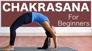 Chakrasana for Beginners  Urdhva Dhanurasana  Wheel pose l Preperation  Yogbela [upl. by Aixela118]