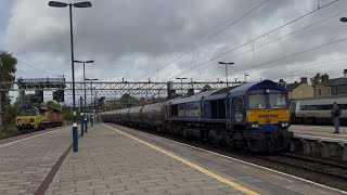 Epic day at Stafford with plenty of variety 7th October 2024 [upl. by Briana]