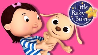 Little Puppy Song  Nursery Rhymes for Babies by LittleBabyBum  ABCs and 123s [upl. by Colby]