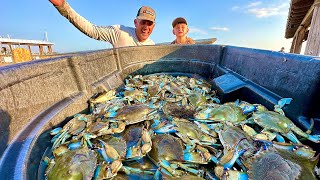 THE MOST AMAZING CRABBING IVE EVER DONE Catch Clean Cook Florida vs Georgia Crabs [upl. by Asreht]