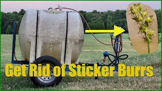 2 Things We Use To Get Rid Of SandburrsStickerburrs [upl. by Eanej]