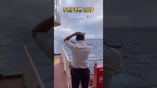 Dream jobjoin navyships lifemerchant navy decoded sea shorts [upl. by Leighland]