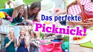 DAS PERFEKTE PICKNICK Snacks Beauty Essentials  Aktivitäten im Sommer ♡ BarbieLovesLipsticks [upl. by Pavior]