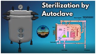 Sterilization by Autoclave  Definition Parts Working Types amp Uses  Microbiology Lab Instrument [upl. by Eigriv]