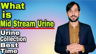 What is the best time to collect urine sample What is Mid Stream Urine [upl. by Strait]