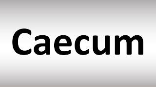 How to Pronounce Caecum [upl. by Llednyl986]