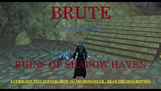 Night of Shadows  Brute  Ruins of Shadow Haven T2  How to EverQuest Necromancer [upl. by Aisak251]