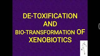 Biotransformation Detoxification and Xenobiotics [upl. by Yatnoj]