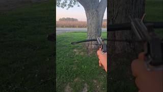 Crossbow vs tree tree crossbow enjoy [upl. by Lefkowitz]