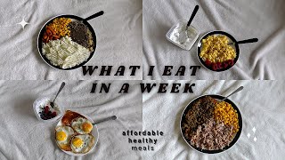 My WEEKLY Diet for Weight Loss  Affordable and Healthy Meals [upl. by Waldman]