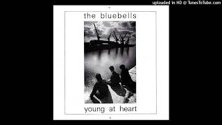 Bluebells  Young At Heart 1984 magnums extended mix v2 [upl. by Yauqaj]